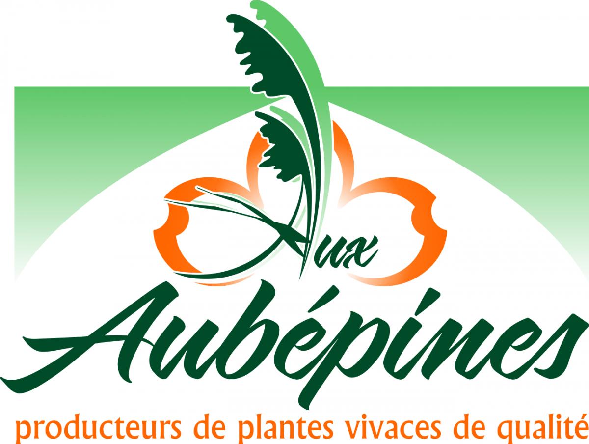 Aux aubépines